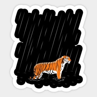 Tiger in the rain Sticker